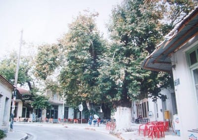 Πυργάκι Η πλατεία του Πύργου Τριφυλίας