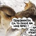 απατσι