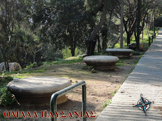 DSC00337 copy