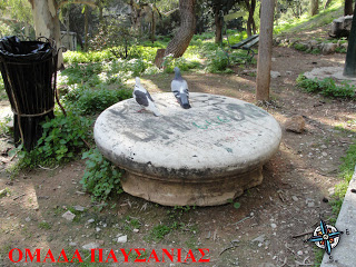 DSC00346 copy