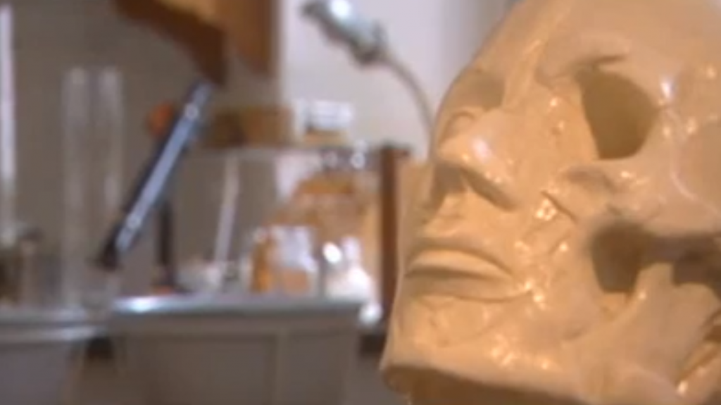 o-thanatos-tis-ellinikis-viomixanias