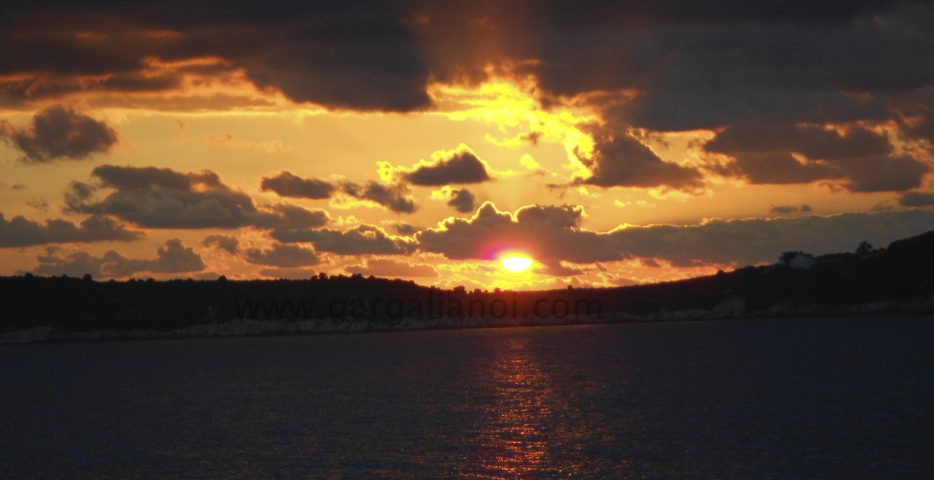 DSCN0950