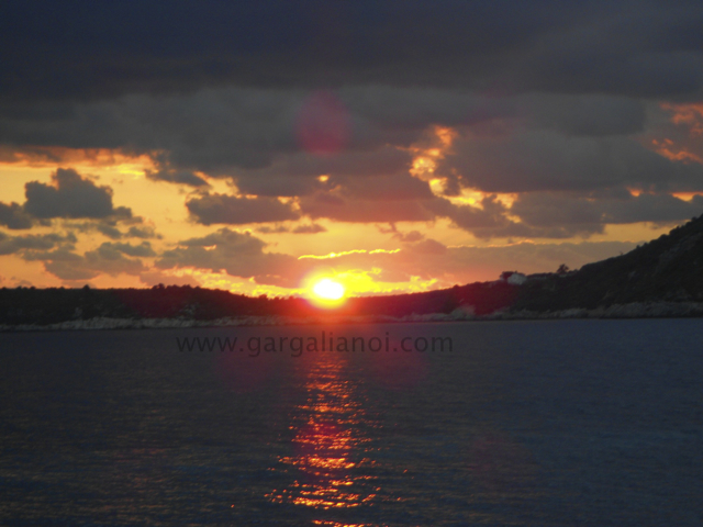 DSCN0962