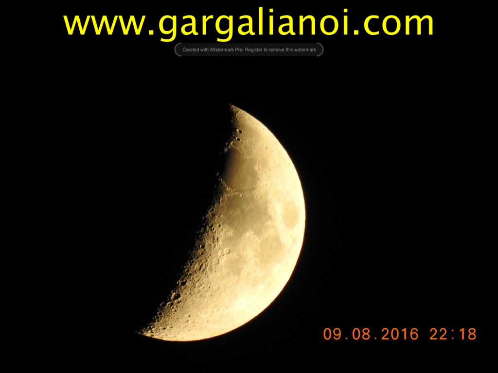 DSCN1360