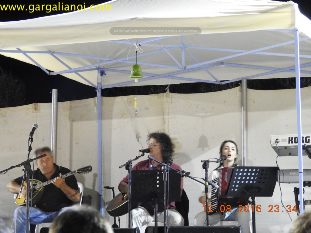 DSCN1528